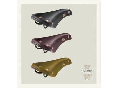 BROOKS Brooks Colt