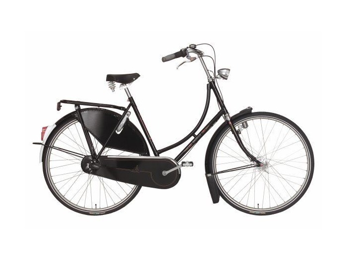 GAZELLE Tour Populair R3T click to zoom image