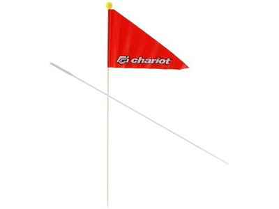 Chariot Carriers Flag