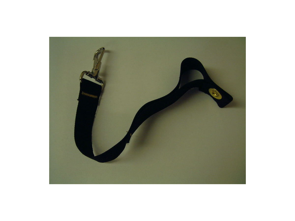 Chariot Carriers Safety Strap click to zoom image