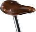 Brooks B17 Special (Ladies) (+&pound;50.00)