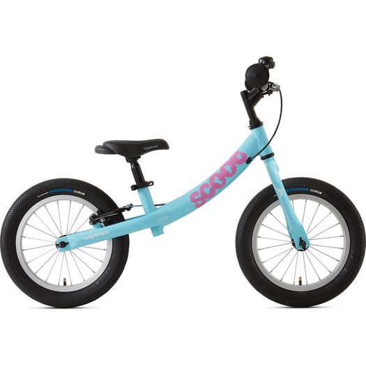 Ridgeback scoot 2025 12