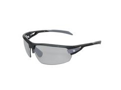 BZ Optics PHO Photochromic Glasses Graphite