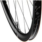 DT SWISS AR 1600 SPLINE disc brake wheel, clincher 30 x 20 mm, front click to zoom image