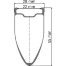 DT SWISS WHEL DT ARC14 55mm DB RR click to zoom image